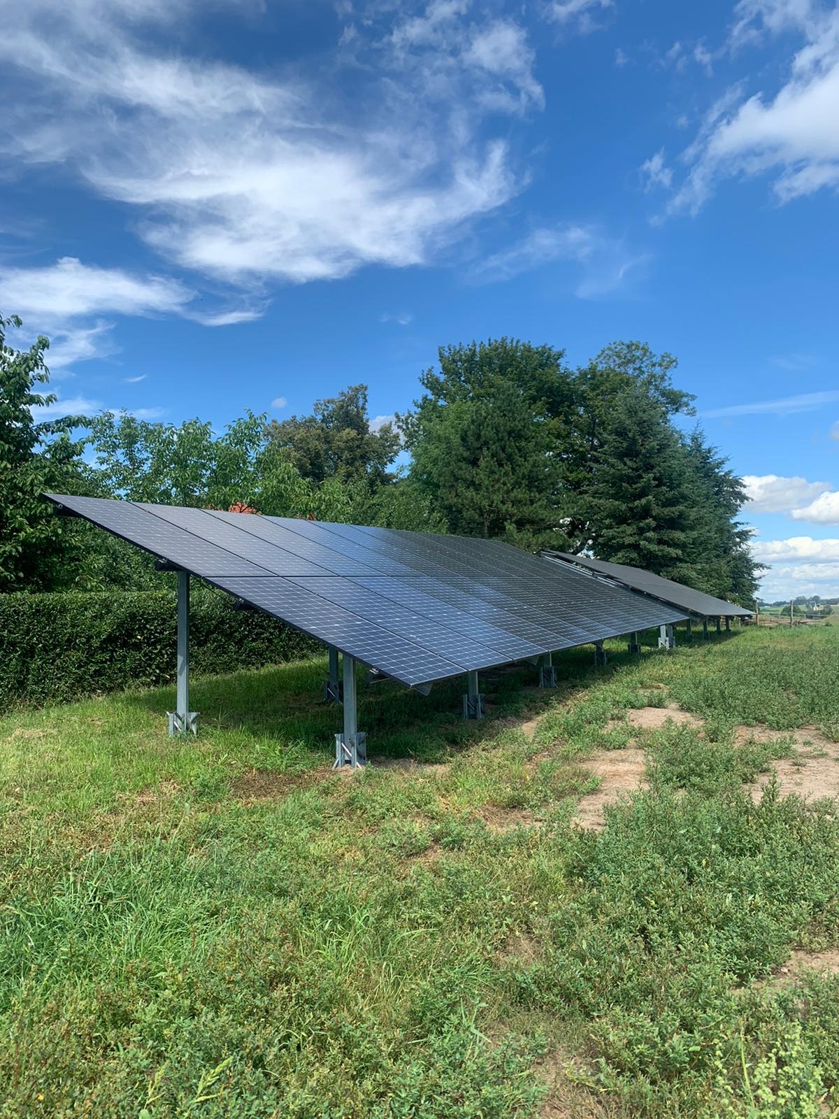 Rząd paneli słonecznych na metalowych stelażach, zainstalowanych na zarośniętym polu pod błękitnym niebem z chmurami.