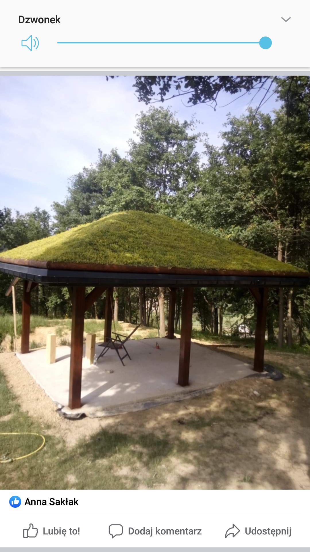 Drewniana altana z dachem pokrytym roślinnością, w tle drzewa i trawa, betonowa podstawa, krzesło wewnątrz.