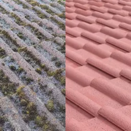 Porównanie dachu przed i po czyszczeniu: po lewej stronie dach pokryty mchem i zabrudzeniami, po prawej czysty, pomalowany na różowo dach z dachówki ceramicznej.