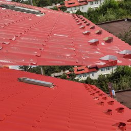 ALPINKAM - Fantastyczne Malowanie Pokryć Dachowych