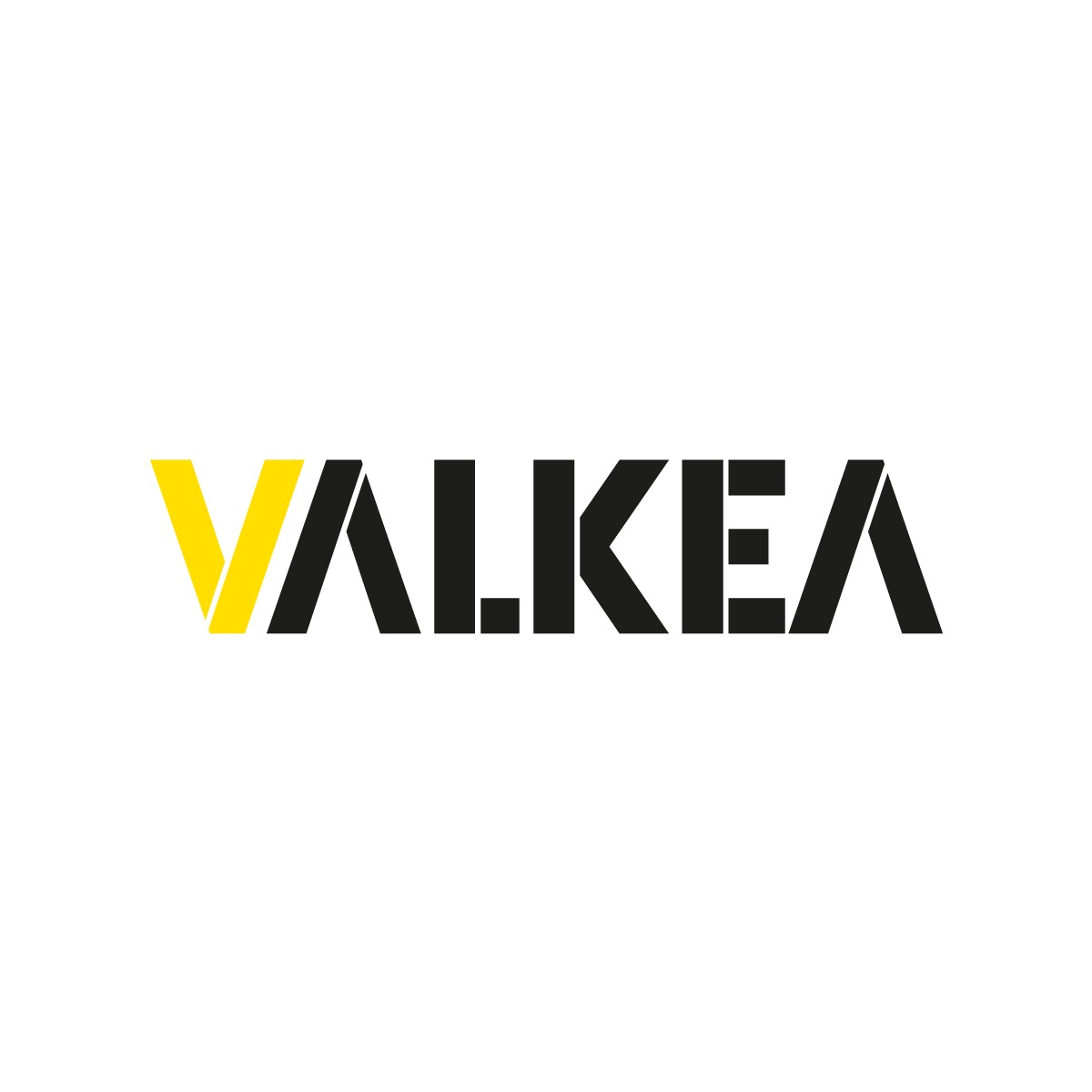 Valkea Media - agencja marketingowa Warszawa