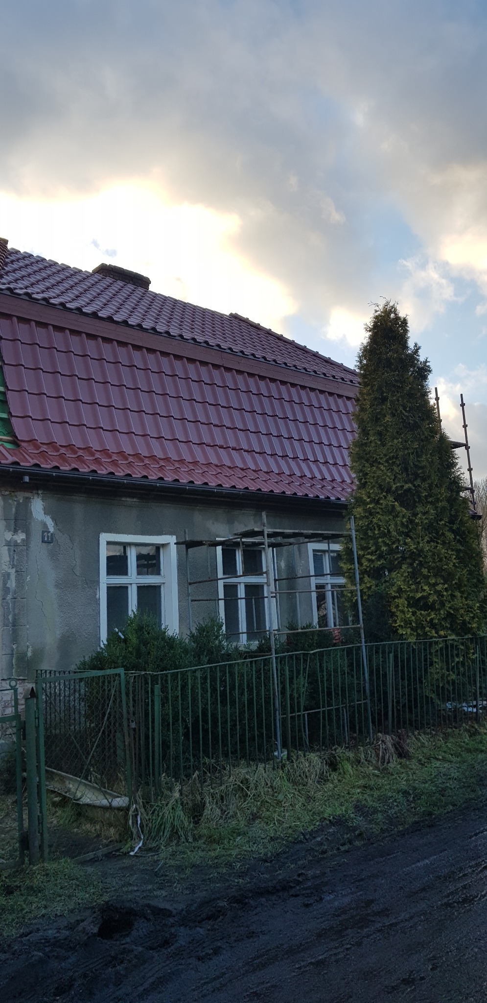 Dom z nowym, błyszczącym dachem z czerwonej dachówki, widoczne rusztowanie przy ścianie i wysoki iglak w ogrodzie.