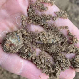 Garść piasku z drobnymi kamykami i fragmentem skały w dłoni, widoczne linie papilarne, tło z rozmytej ziemi.