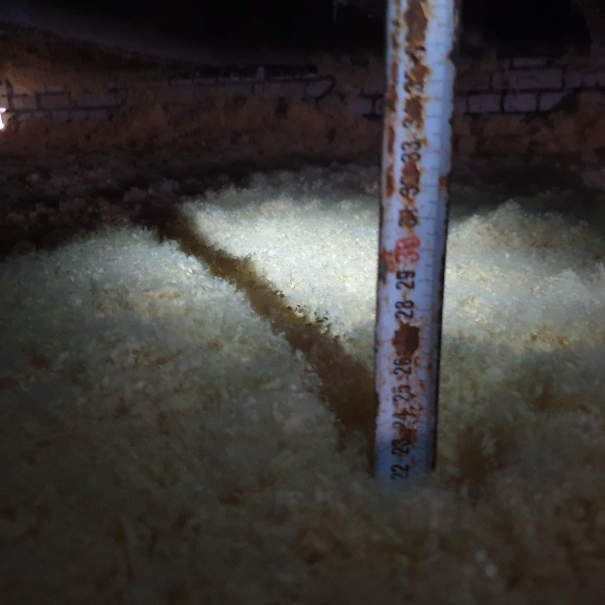 Pomiar grubości warstwy izolacyjnej w poddaszu przy użyciu zardzewiałej miarki, widoczne cegły stropu.