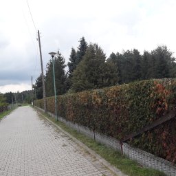 Mariusz Kwaśniok K.W.A.K. - Długa aleja wyłożona kostką brukową, po prawej stronie wysoki, gęsty żywopłot na betonowej podmurówce z elementami drewnianego ogrodzenia, po lewej stronie murki z czerwonej cegły i trawa.