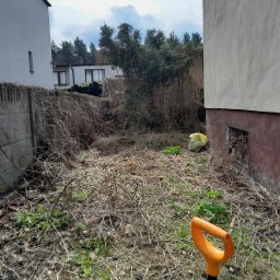 Przed naszą interwęcją