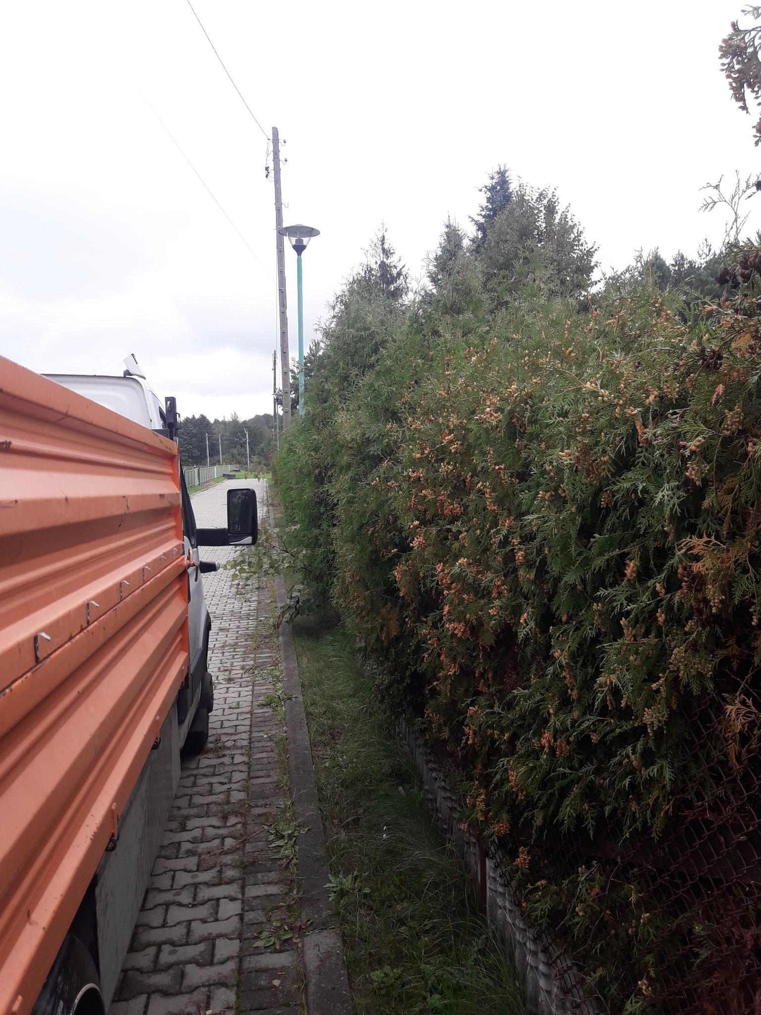 Pomarańczowa ciężarówka zaparkowana na brukowanej drodze obok wysokiego żywopłotu z tuj, widok z perspektywy chodnika, słup oświetleniowy w tle.