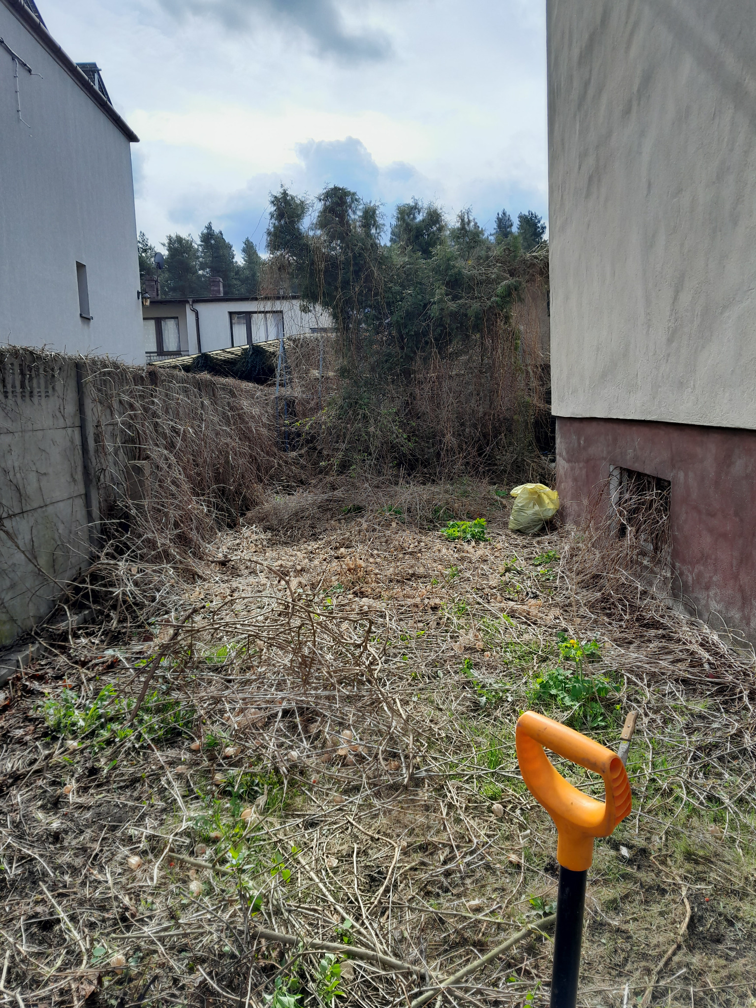 Przed naszą interwęcją