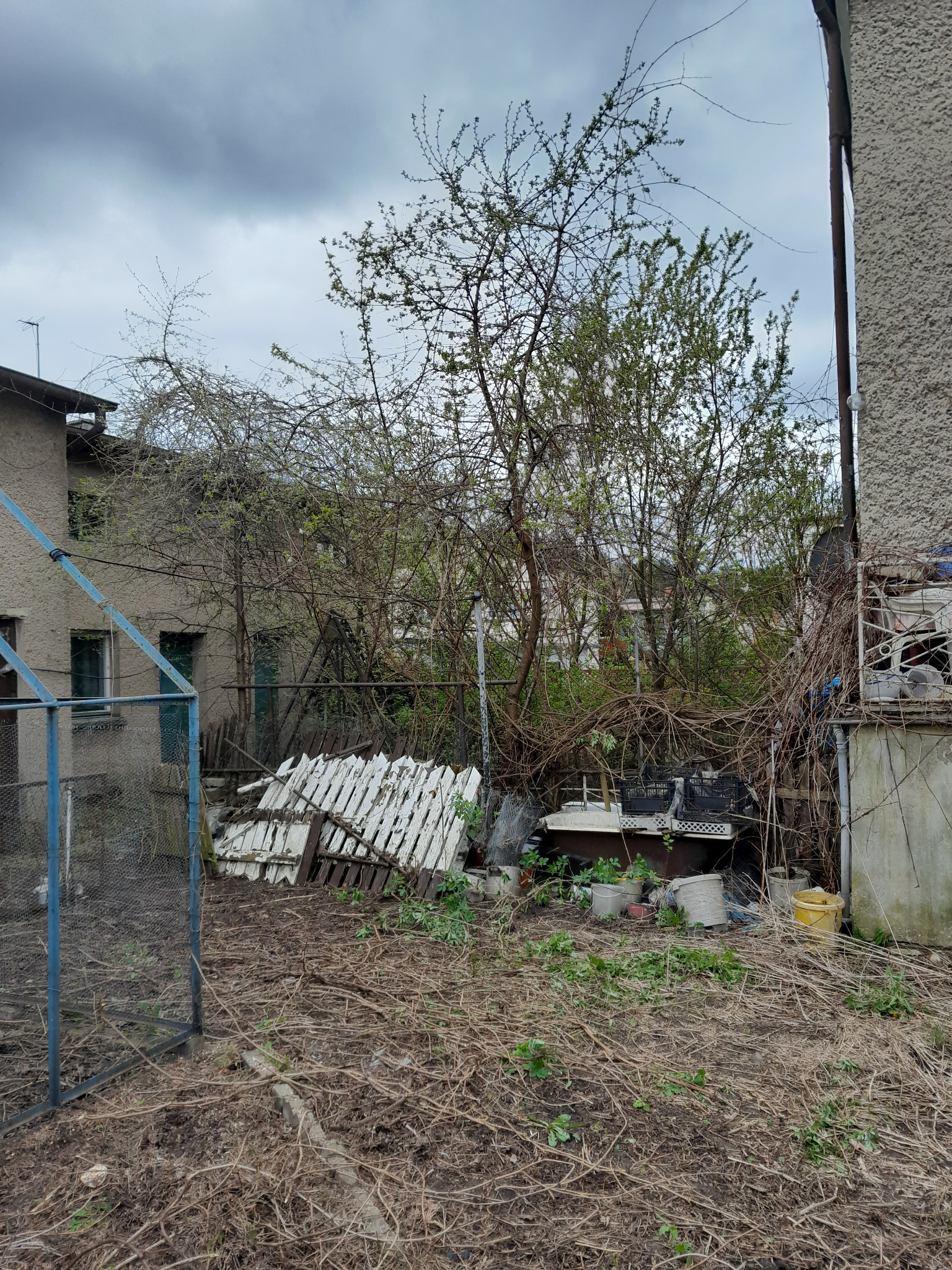 Przed naszą interwencją