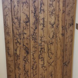 Szafy na wymiar Szczecin 1