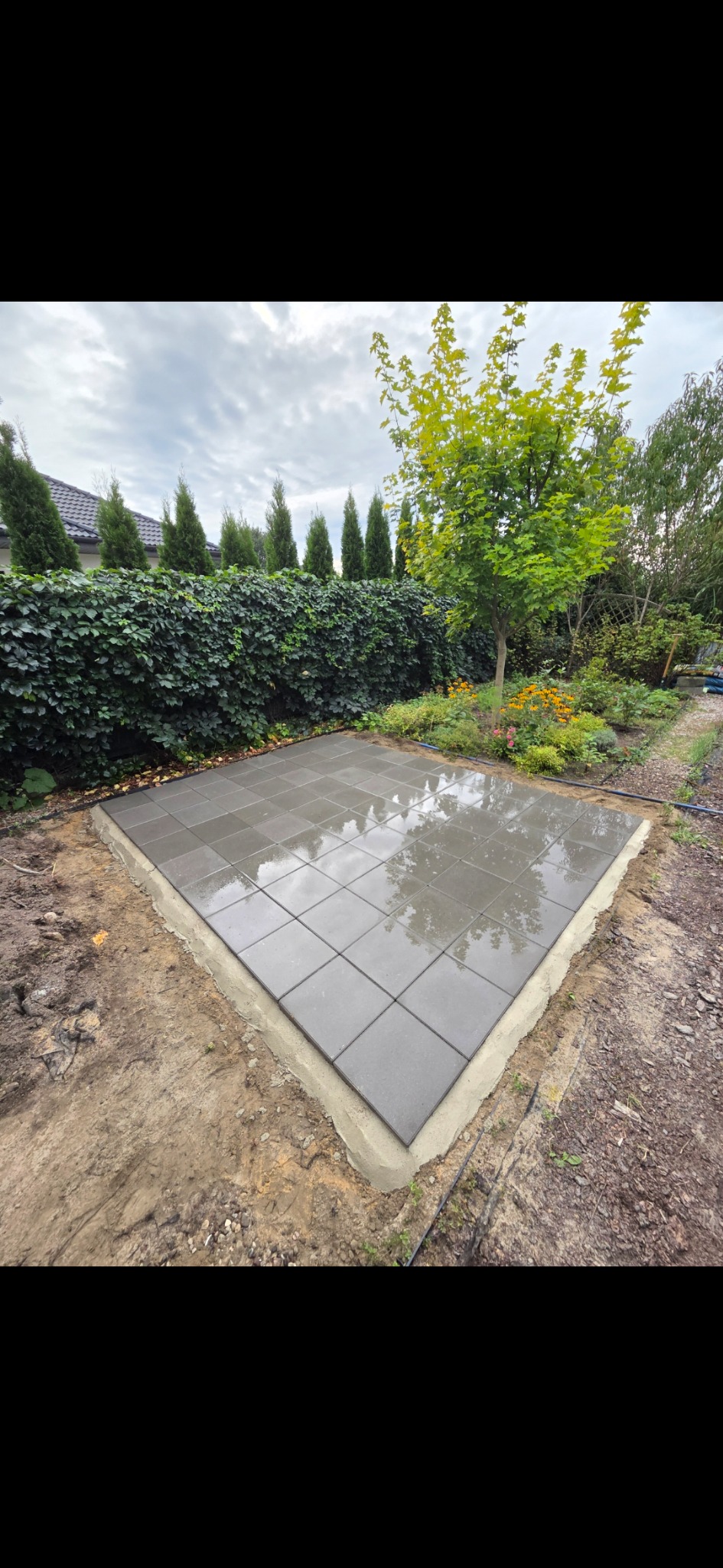 Świeżo ułożona, mokra, szara kostka brukowa na przygotowanym podłożu w ogrodzie. W tle zielony żywopłot i drzewa. Widoczne odbicie nieba na kostce.