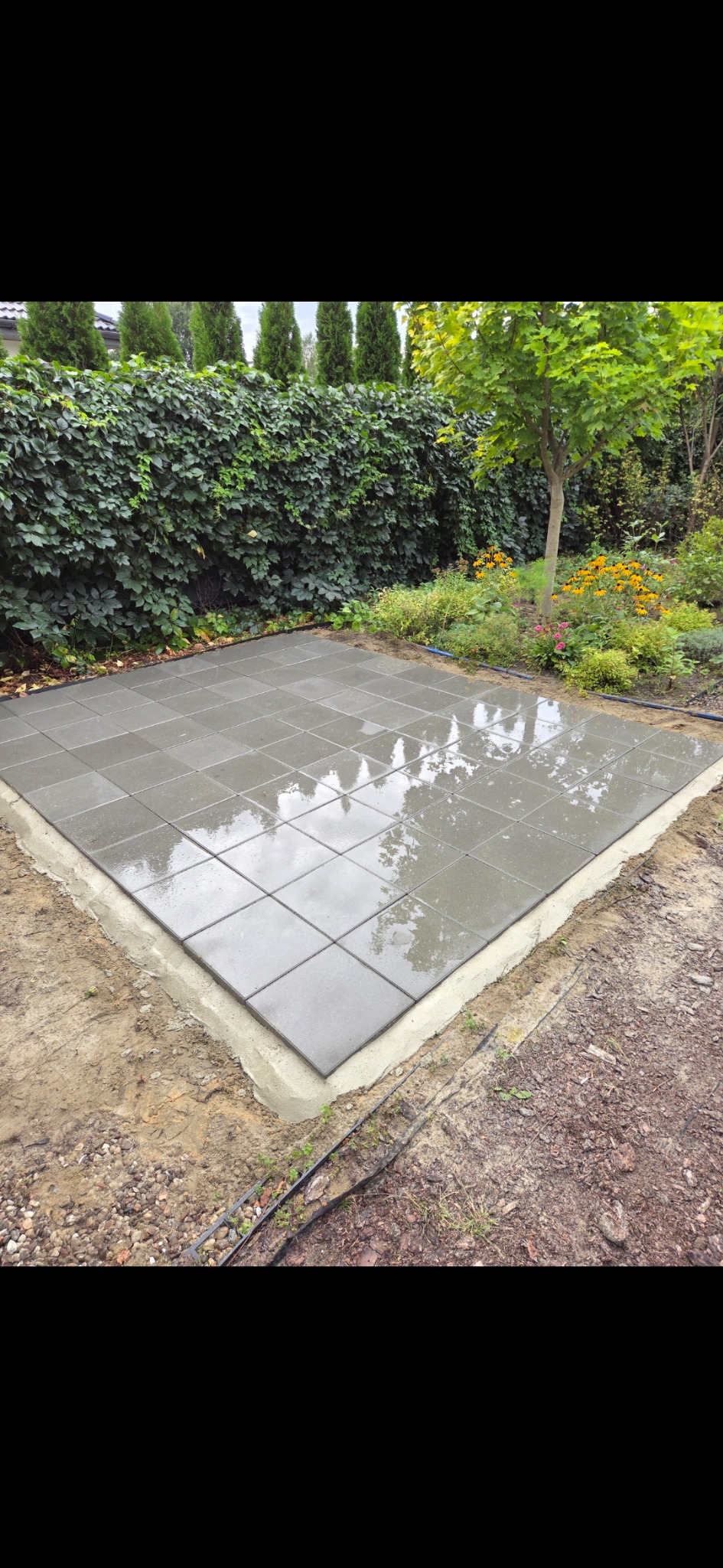 Świeżo ułożona, mokra kostka brukowa w ogrodzie, otoczona zielenią i drzewami. Widoczne obrzeża i przygotowane podłoże. Kwadratowy wzór kostki.