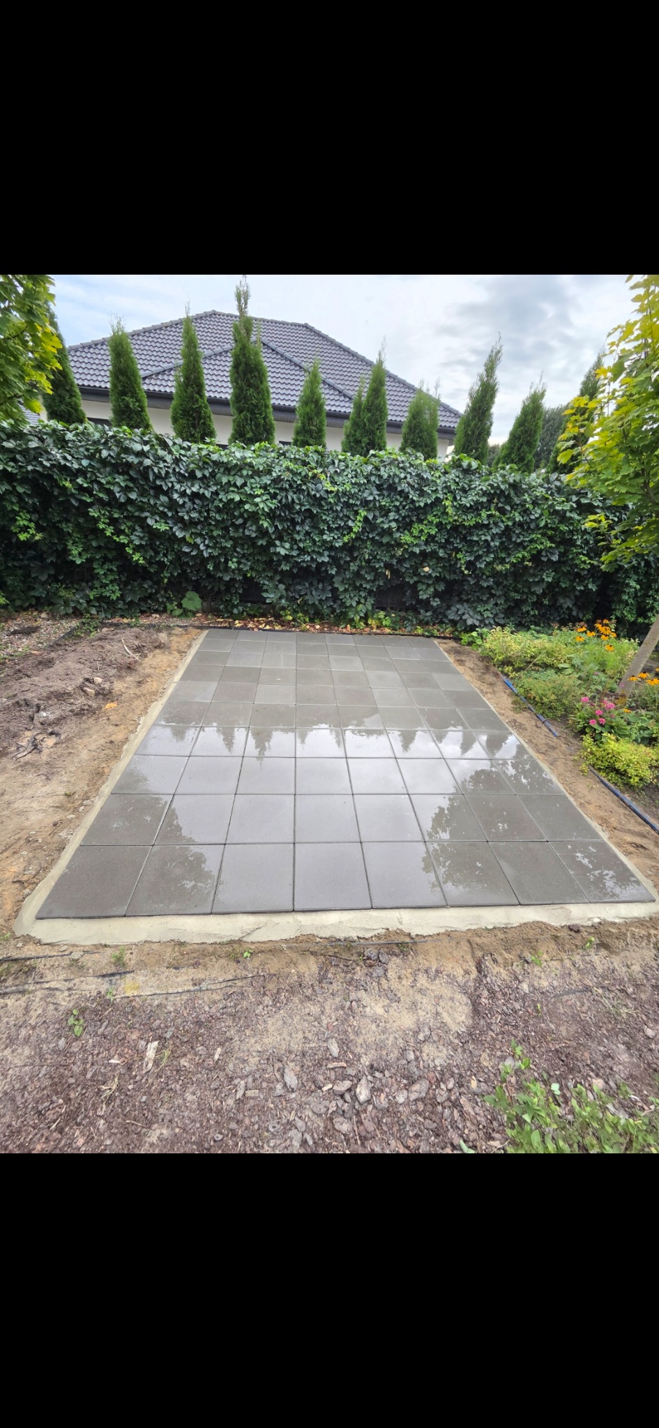 Ułożona, mokra kostka brukowa w ogrodzie, otoczona zielenią i tujami. Widoczne świeże obrzeża betonowe. Kostka odbija niebo, tworząc lustrzany efekt.