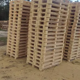 Stosy jasnych, nowych palet drewnianych ułożone na piaszczystym podłożu z widocznym lasem w tle.