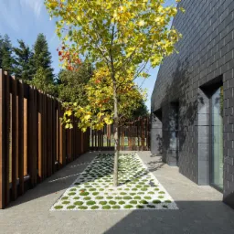 Nowoczesny dom z elewacją z ciemnego kamienia, drewniany płot lamelowy i dekoracyjny pas z białego żwiru i mchu wokół drzewa.