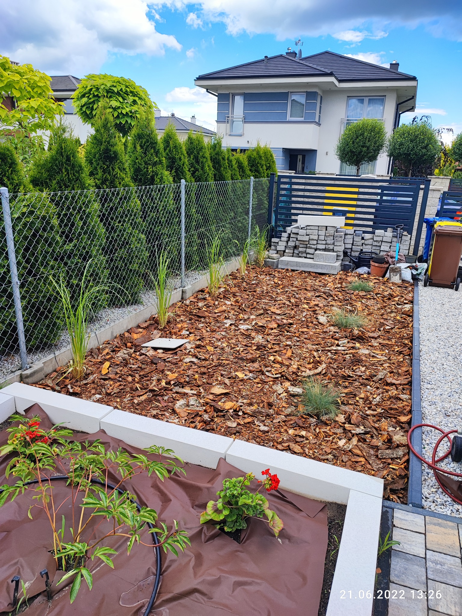 Przygotowany teren pod nasadzenia z rozłożoną agrowłókniną i posadzoną zielenią, kora rozsypana na rabatach, w tle nowoczesny dom i ogrodzenie.