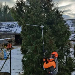 Pracownik w pomarańczowym kombinezonie przycina wysoki żywopłot tują teleskopowymi nożycami elektrycznymi na tle ośnieżonego ogrodu i pochmurnego nieba.