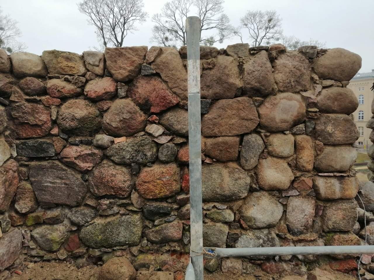 Masywna ściana z kamienia polnego w trakcie budowy lub renowacji, widoczne rusztowanie i ziemia u podstawy, drzewa bez liści w tle, pochmurne niebo.