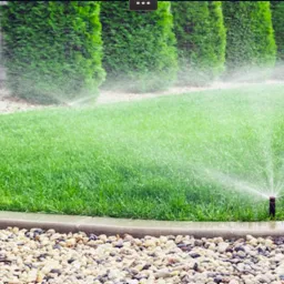 Automatyczne nawadnianie trawnika z dyszami rozpylającymi wodę, widok na równo przystrzyżoną trawę i ozdobne krzewy.