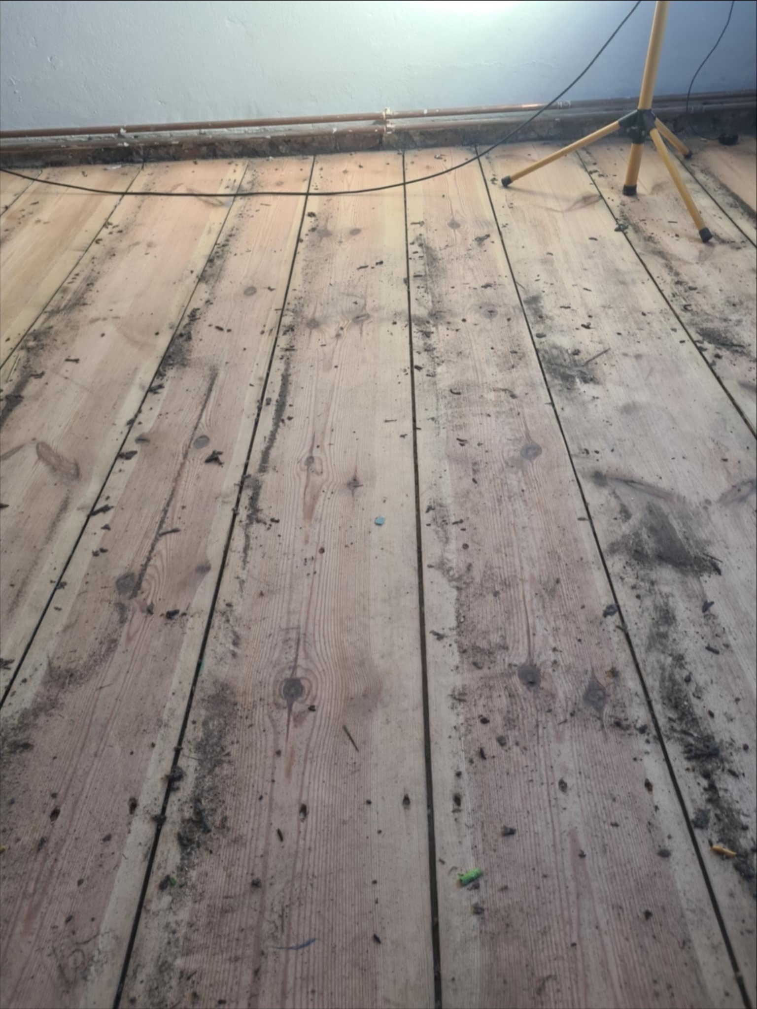 Drewniana podłoga z widocznymi śladami po szlifowaniu, z resztkami pyłu i niedoskonałościami, oświetlona lampą roboczą na trójnogu.