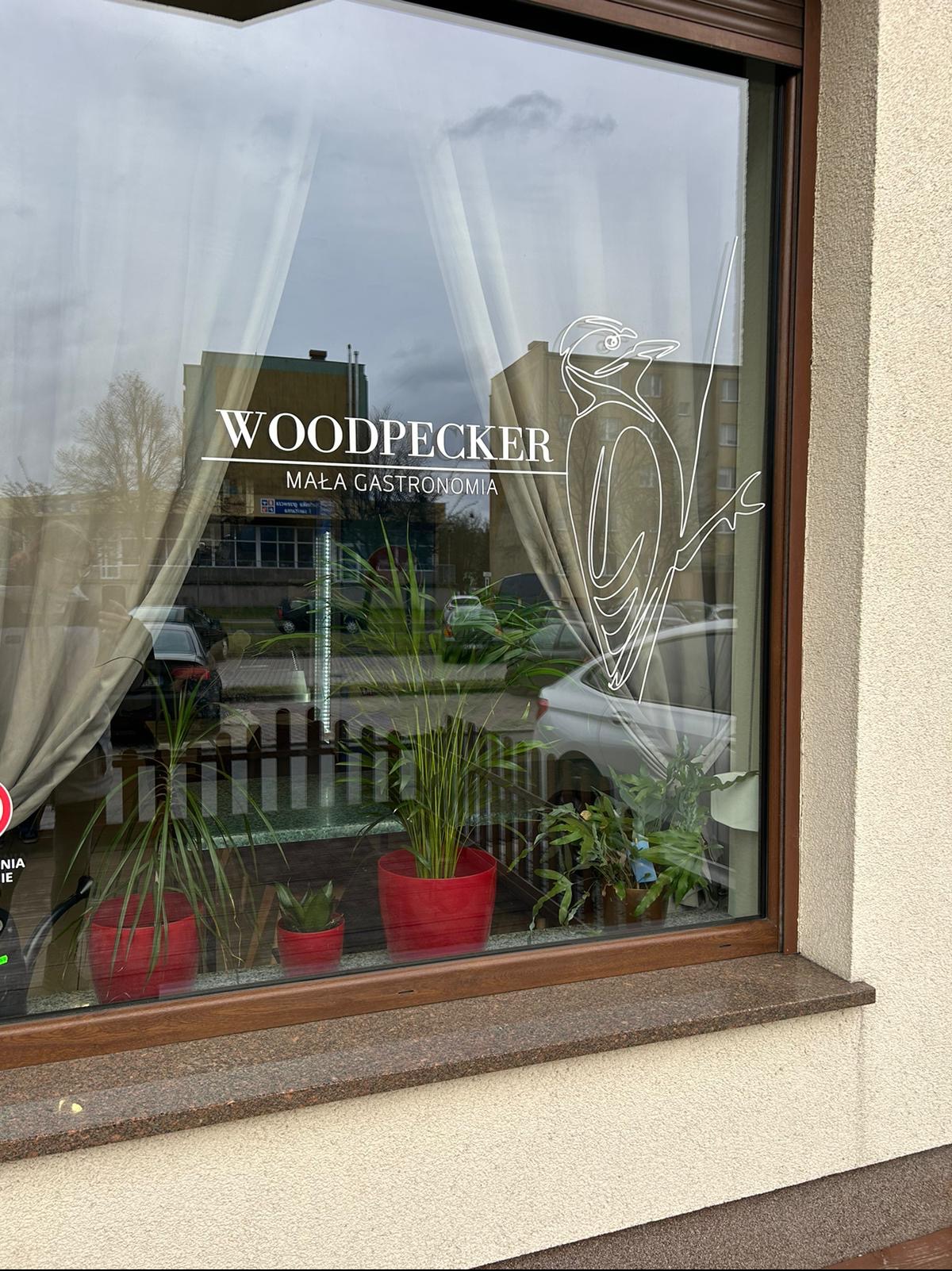 Okno lokalu gastronomicznego Woodpecker z naklejką logo i nazwą, widoczne rośliny w doniczkach na parapecie, odbicie ulicy w szybie.