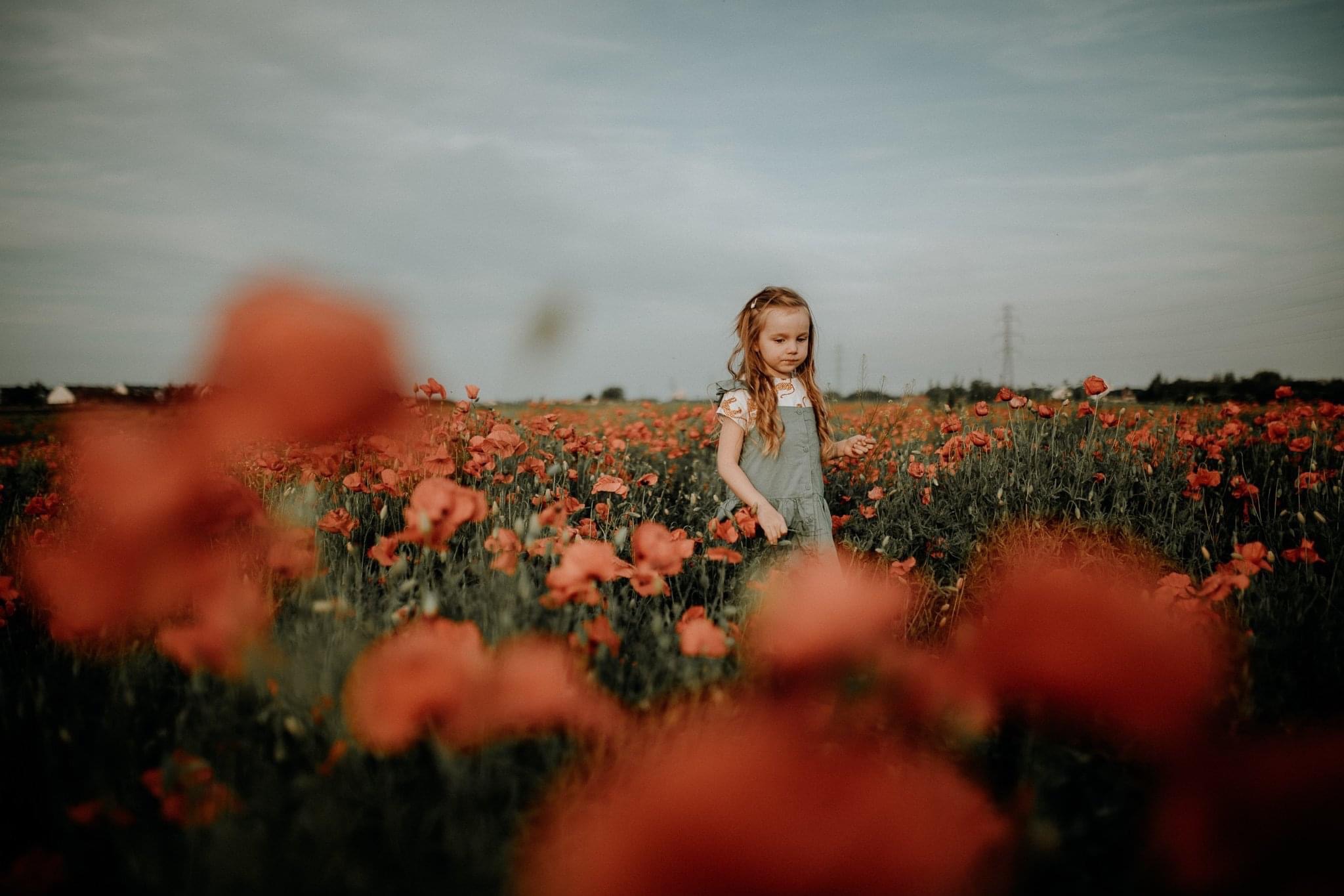 Dziewczynka w dżinsowej sukience spaceruje po polu czerwonych maków, w tle widoczne słupy wysokiego napięcia.