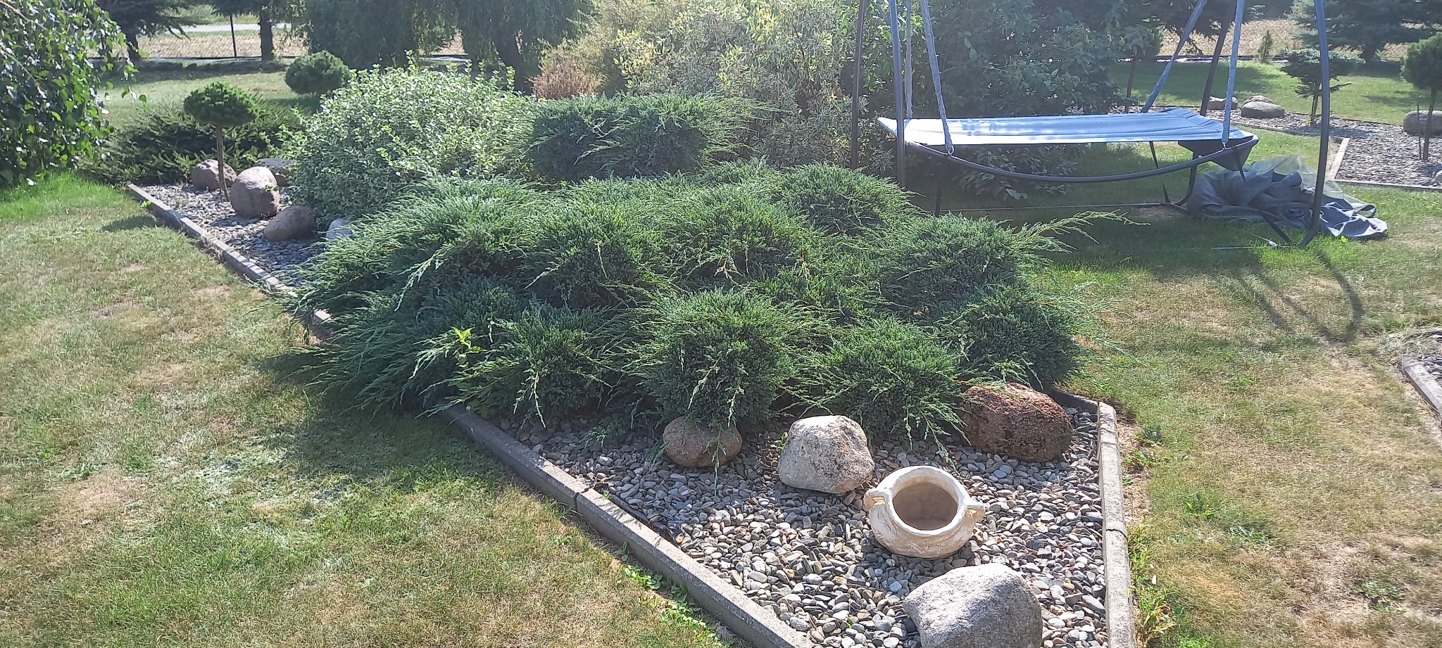 Fragment ogrodu z niskimi krzewami iglastymi, otoczakami, ozdobnymi kamieniami i ceramiczną donicą bez roślin, widok z góry w słoneczny dzień.