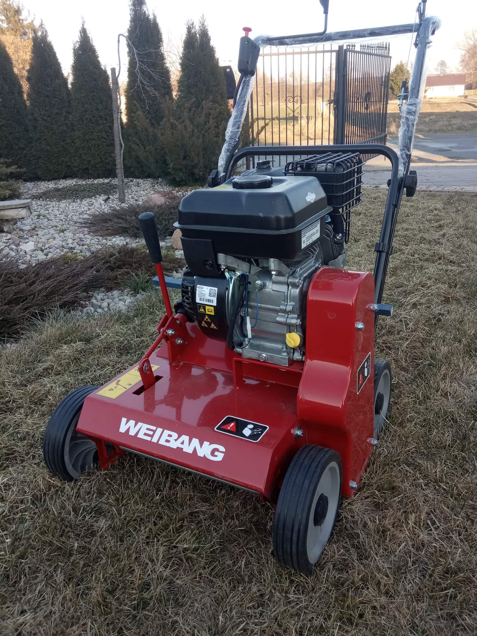 Czerwony wertykulator spalinowy marki Weibang, stojący na wyschniętej trawie przed posesją z tujami i metalową bramą.