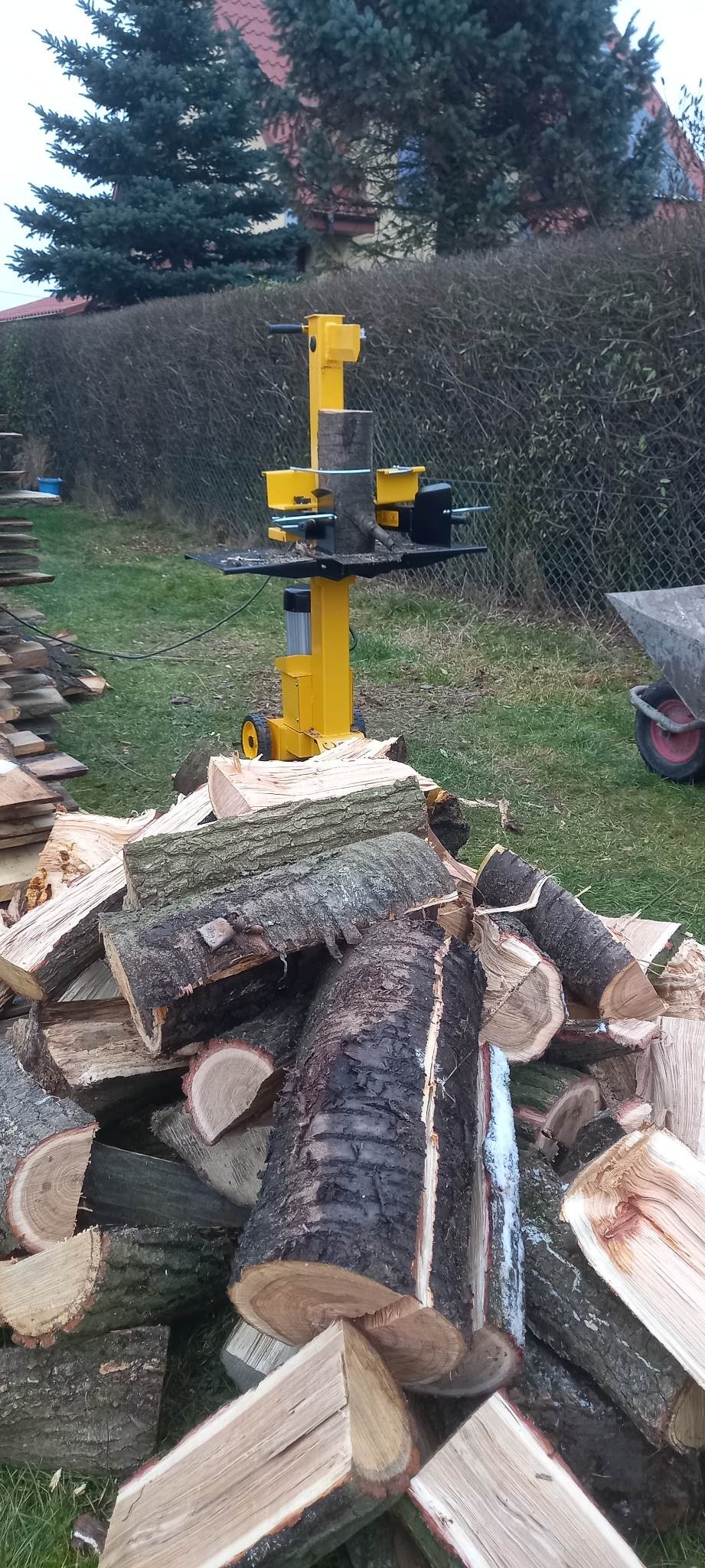 Żółta łuparka do drewna w ogrodzie, obok sterta pociętych kawałków drewna z widoczną korą i jasnym wnętrzem, w tle żywopłot i drzewo iglaste.