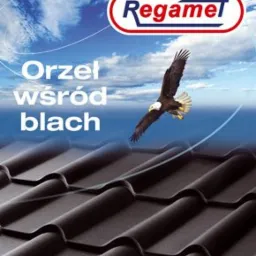 Dachy, Pokrycia Dachowe,Regamet