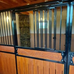 Stadniny i jazda konna Kazimierza Wielka 4