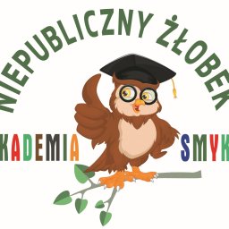 Niepubliczny Żłobek Akademia Smyka - Żłobek Brzesko