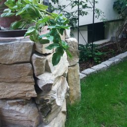 WM-Bud - Kamienna ściana oporowa z doniczką bazylii, oddzielająca taras od trawnika, z widocznym oknem piwnicznym w tle.