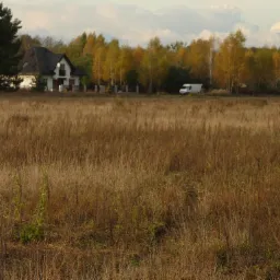 Dom jednorodzinny z czarnym dachem i balkonem, widoczny zza wysokiej, suchej trawy na tle jesiennych drzew i białego furgonetki.