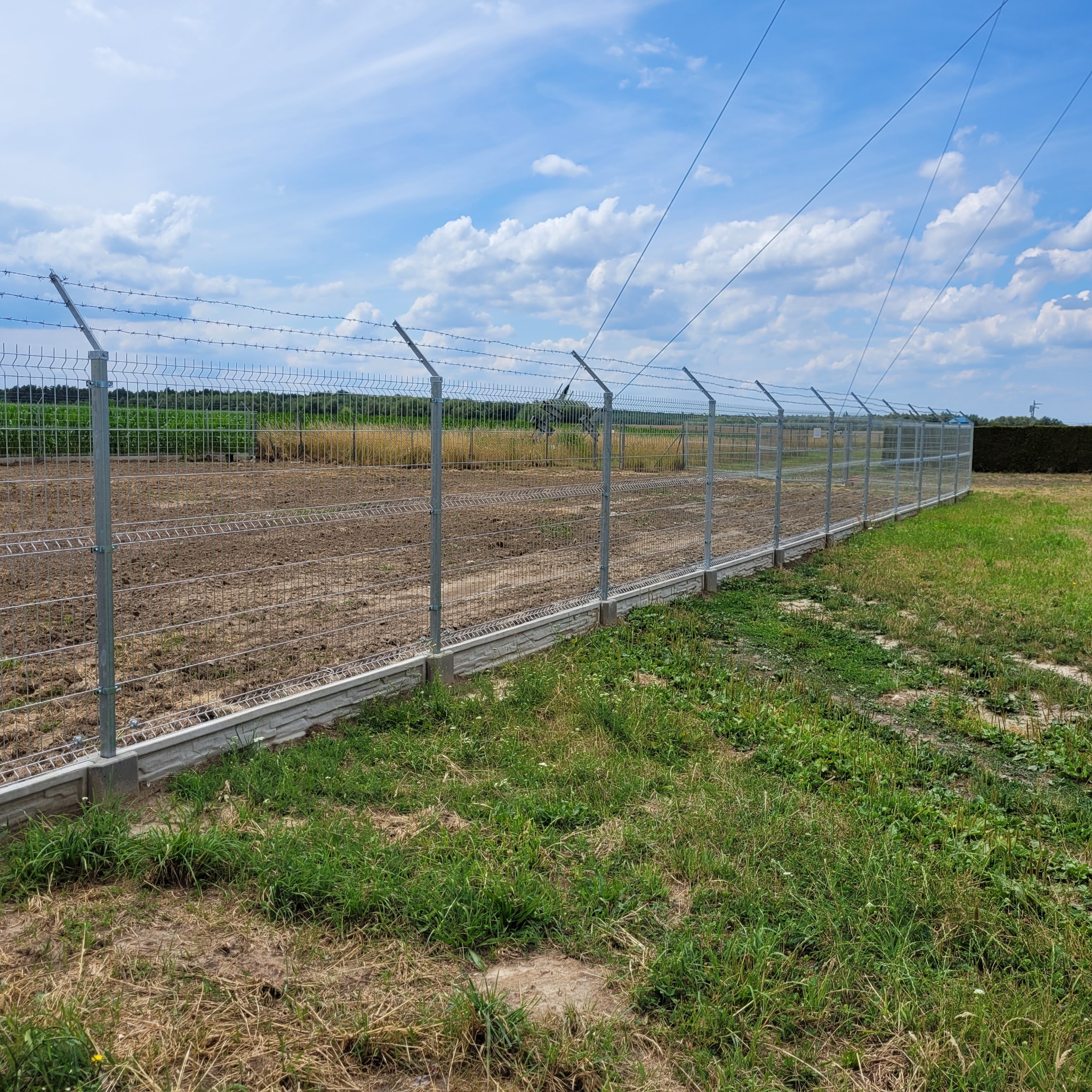 Nowo zainstalowane ogrodzenie panelowe z drutu ocynkowanego z drutem kolczastym u góry, osadzone na betonowej podmurówce, otaczające pole z młodymi roślinami w tle, widoczne linie wysokiego napięcia.