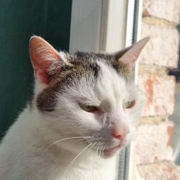 Maria Kasprzak - Opieka Nad Starszą Osobą Wrocław