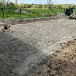 Przygotowany teren pod budowę z widocznymi śladami opon, obok pies węszy przy krawędzi, w tle ogrodzenie i zabudowania.