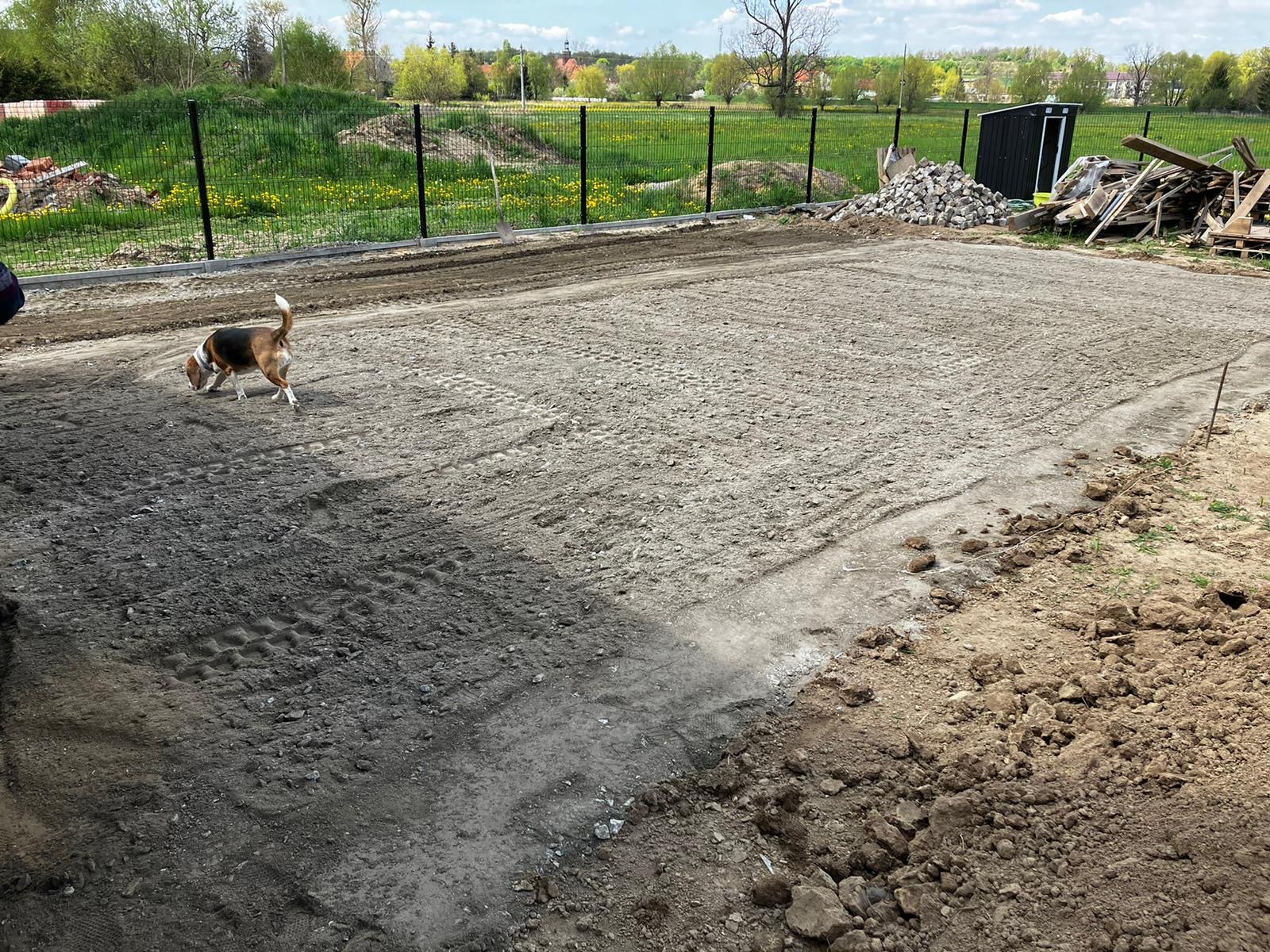 Przygotowany teren pod budowę z widocznymi śladami opon, obok pies węszy przy krawędzi, w tle ogrodzenie i zabudowania.