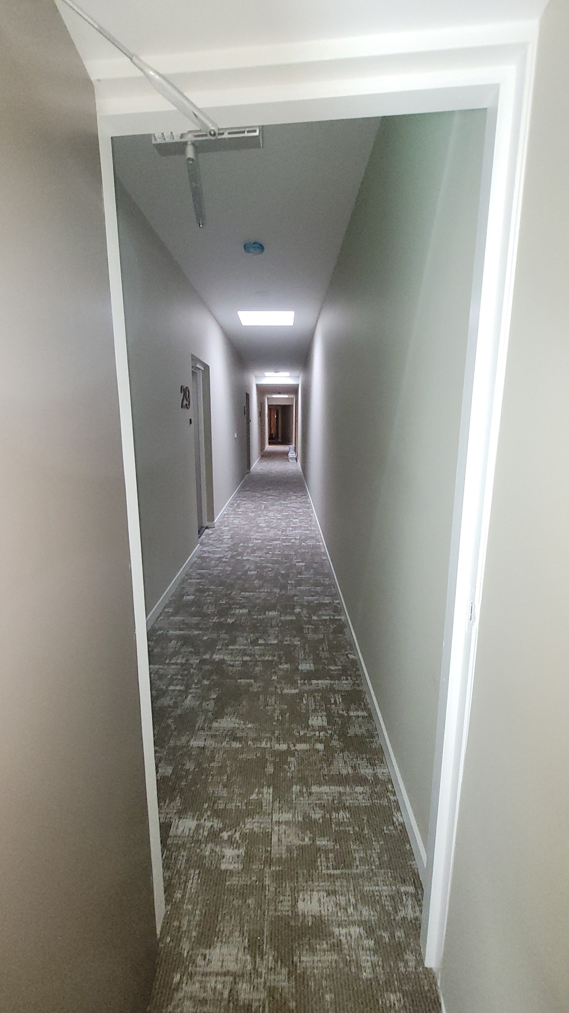 Długi korytarz w budynku mieszkalnym z szarą wykładziną dywanową w abstrakcyjne wzory, świeżo pomalowane ściany w odcieniach szarości, widok zza framugi drzwi.