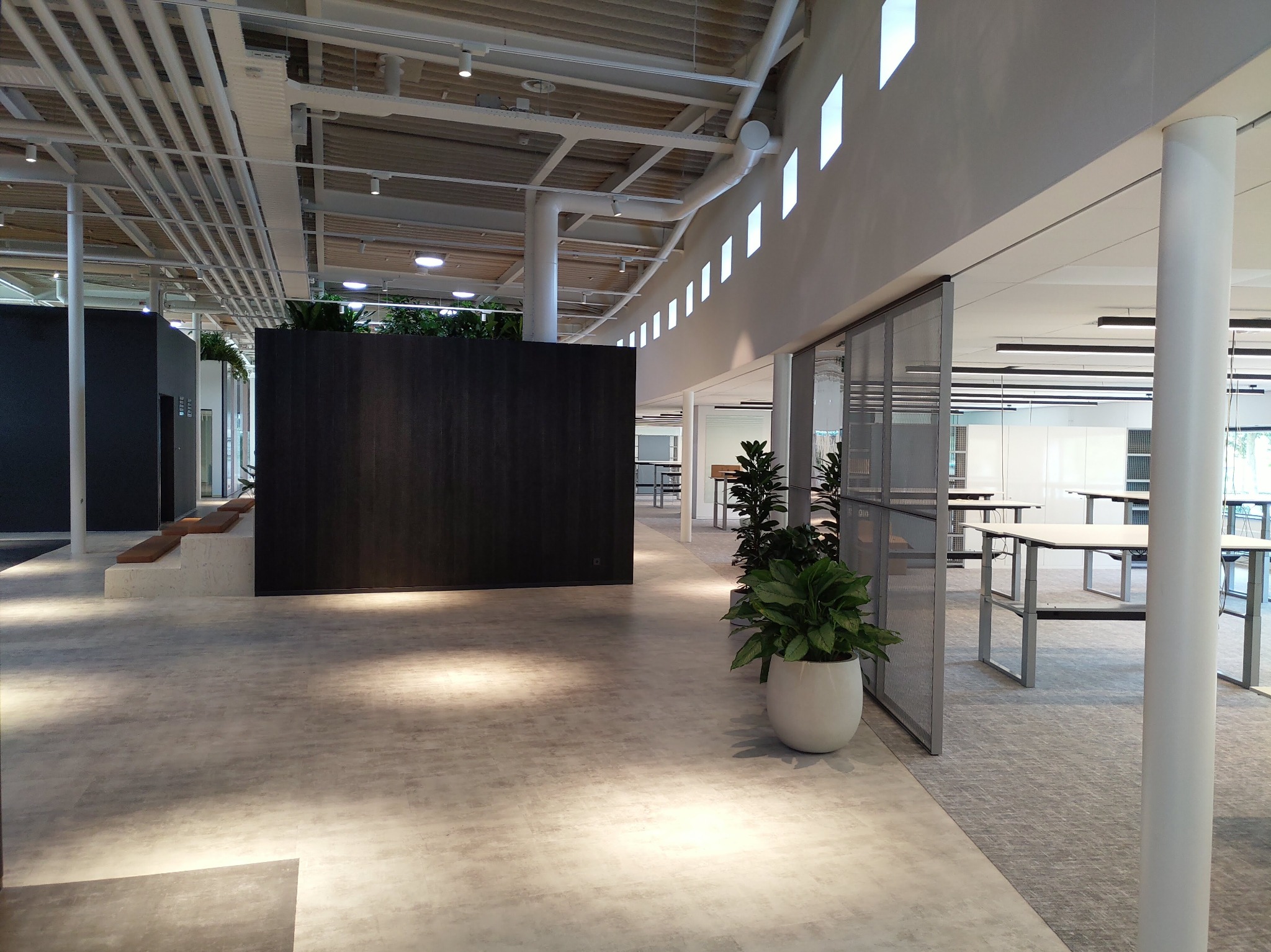 Nowoczesne wnętrze biurowe z betonową podłogą, widoczne instalacje pod sufitem, rośliny w donicach i biurka w tle.