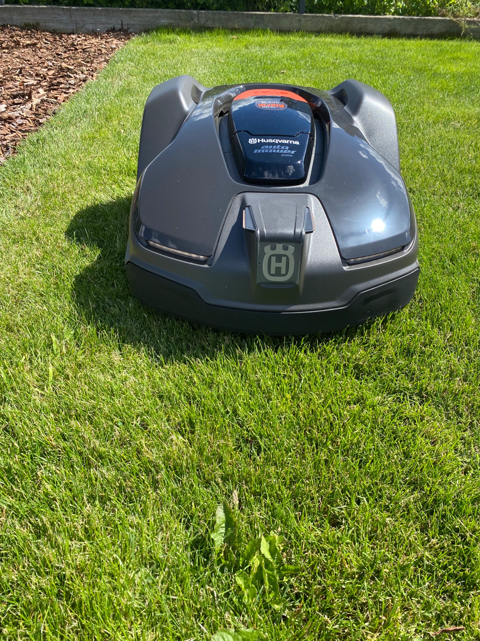 Szary robot koszący Husqvarna Automower 430X na zielonym trawniku w słoneczny dzień, widoczny fragment krawężnika z korą.