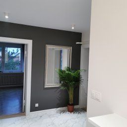 Patryk Sawicki - Szare ściany korytarza z lustrem w srebrnej ramie i palmą w doniczce, widok na parkiet w jodełkę w pokoju obok.