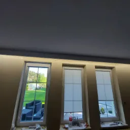 Trzy okna dachowe z zamontowanymi roletami wewnętrznymi, widok na zewnątrz: ogród z zielenią i szklarnią, w tle podświetlony sufit.