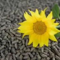 BIOMASA - PELLET z ŁUSKI SŁONECZNIKA - TANIA ALTERNATYWA DLA EKOGROSZKU I PELLETÓW DREWNIANYCH