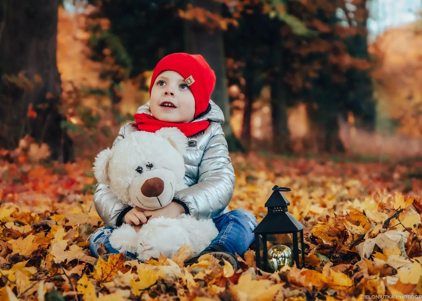 Chłopiec w srebrnej kurtce i czerwonej czapce siedzi na liściach, trzymając pluszowego misia i patrząc w górę, obok niego stoi czarny lampion.