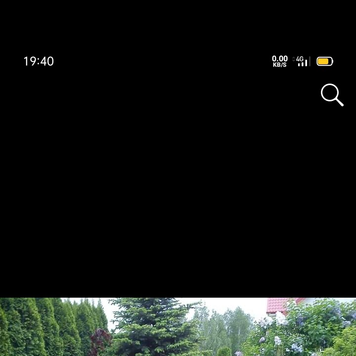 Widok na zadbany ogród z różnorodną roślinnością, w tym iglaki, drzewa liściaste i kwitnące krzewy, z domem w tle.