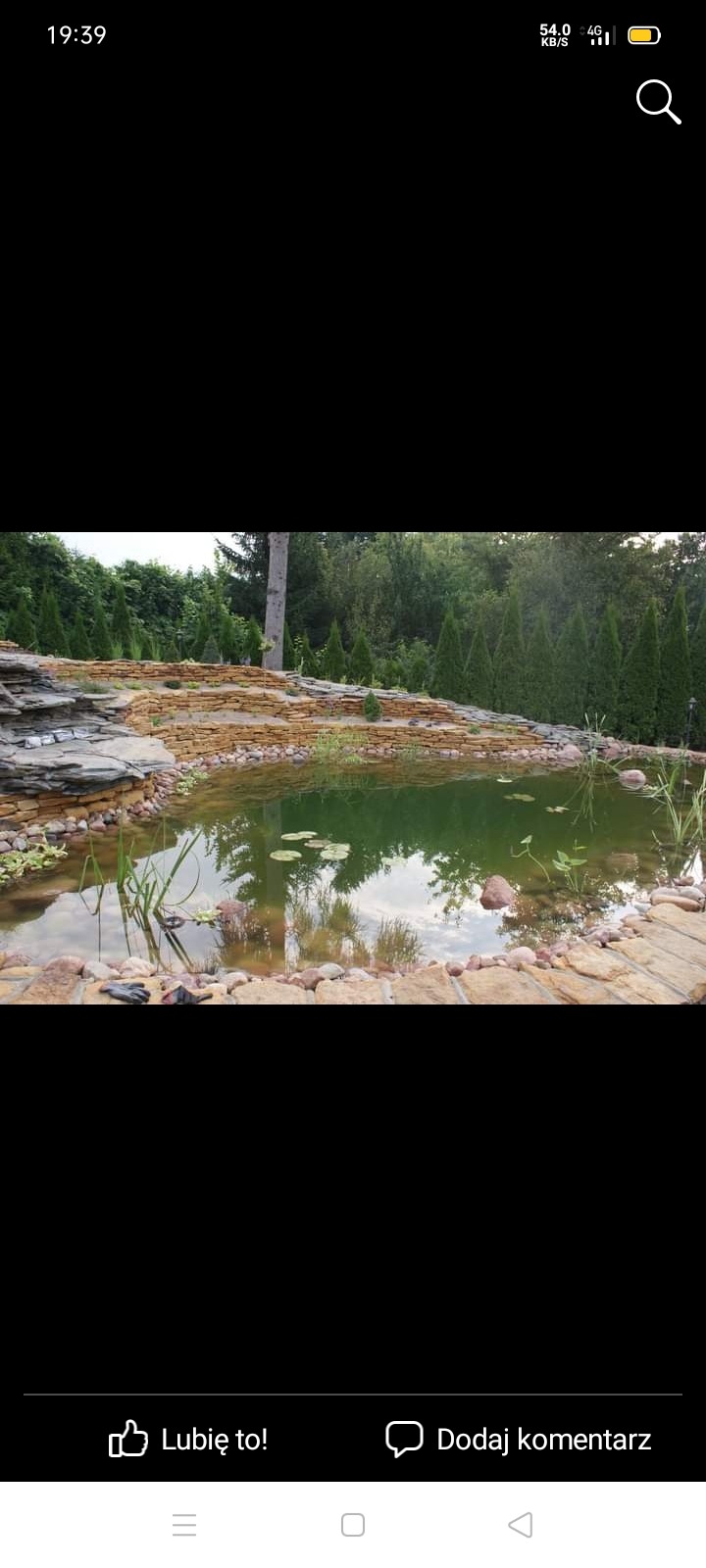 Oczko wodne z kamienną kaskadą i roślinami wodnymi, otoczone zielenią ogrodu.