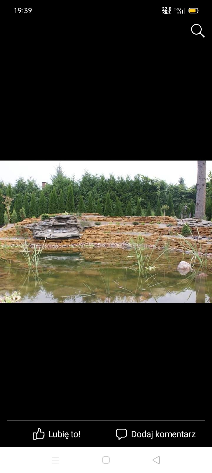 Oczko wodne z kamienną kaskadą i roślinnością wodną, otoczone tujami i drzewami.