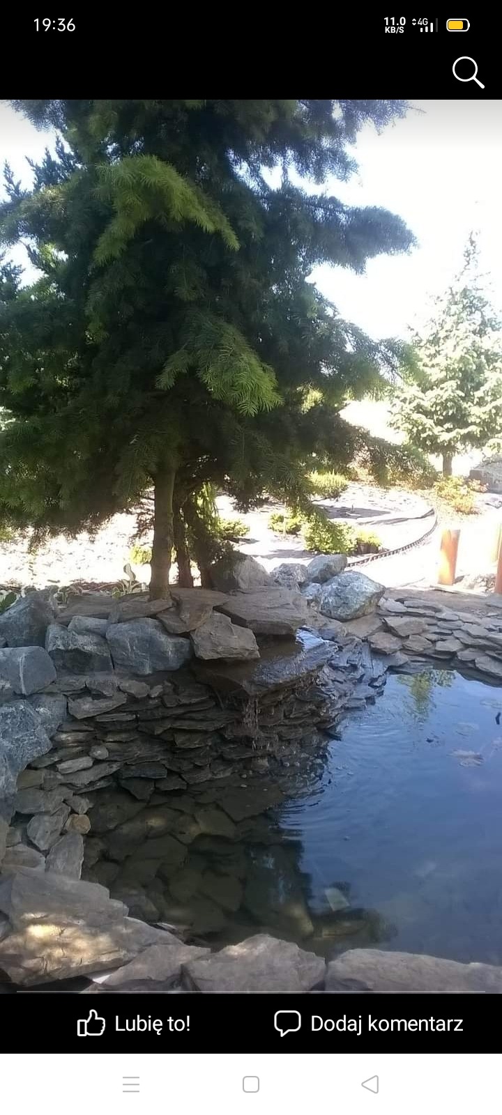 Oczko wodne z kaskadą kamienną, otoczone zielenią, z widocznym drzewem iglastym i elementami dekoracyjnymi w ogrodzie.