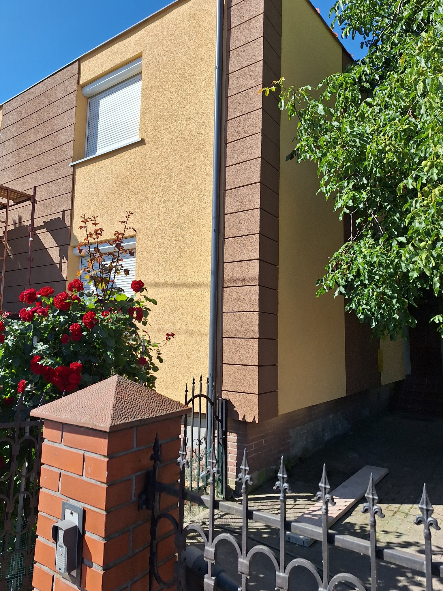 Dwukolorowa elewacja domu z oknem i roletą, widoczna zza ozdobnego ogrodzenia i kwitnących róż. Fragment drzewa po prawej stronie kadru.